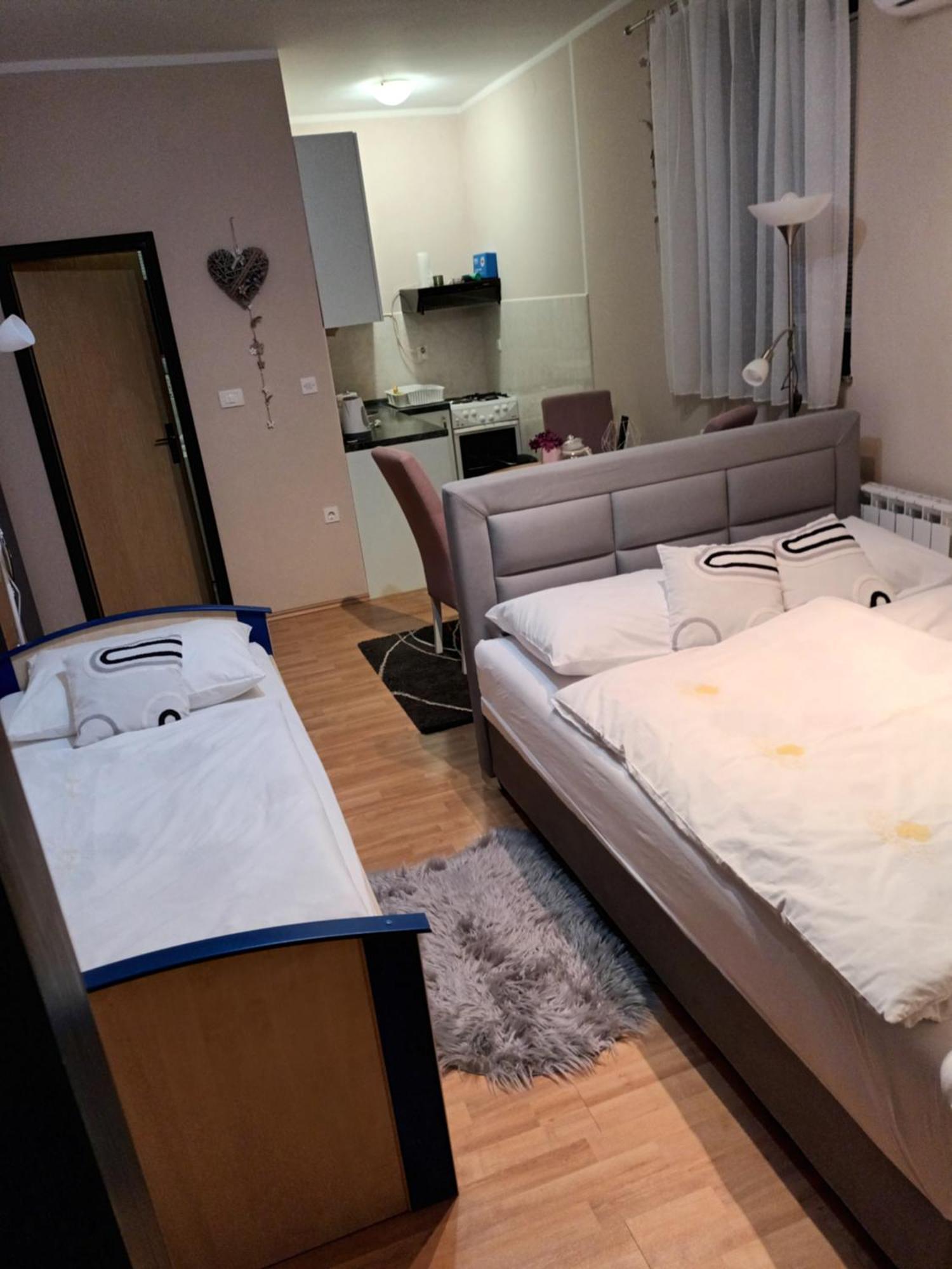 Studio Apartman Salopek 奥古林 外观 照片